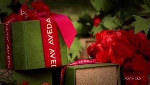 Aveda Holiday Deals