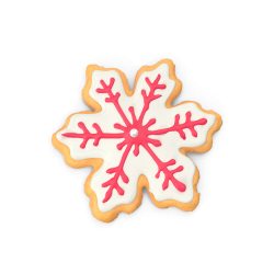 Snowflake Cookie.B03.2k